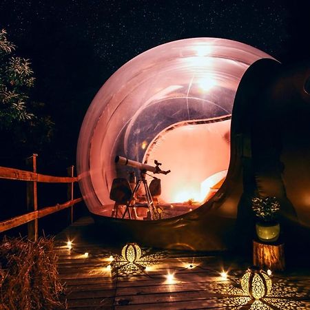 Maso La Marianna Bubble Glamping In Trentino Bed & Breakfast Sant'Orsola Dış mekan fotoğraf