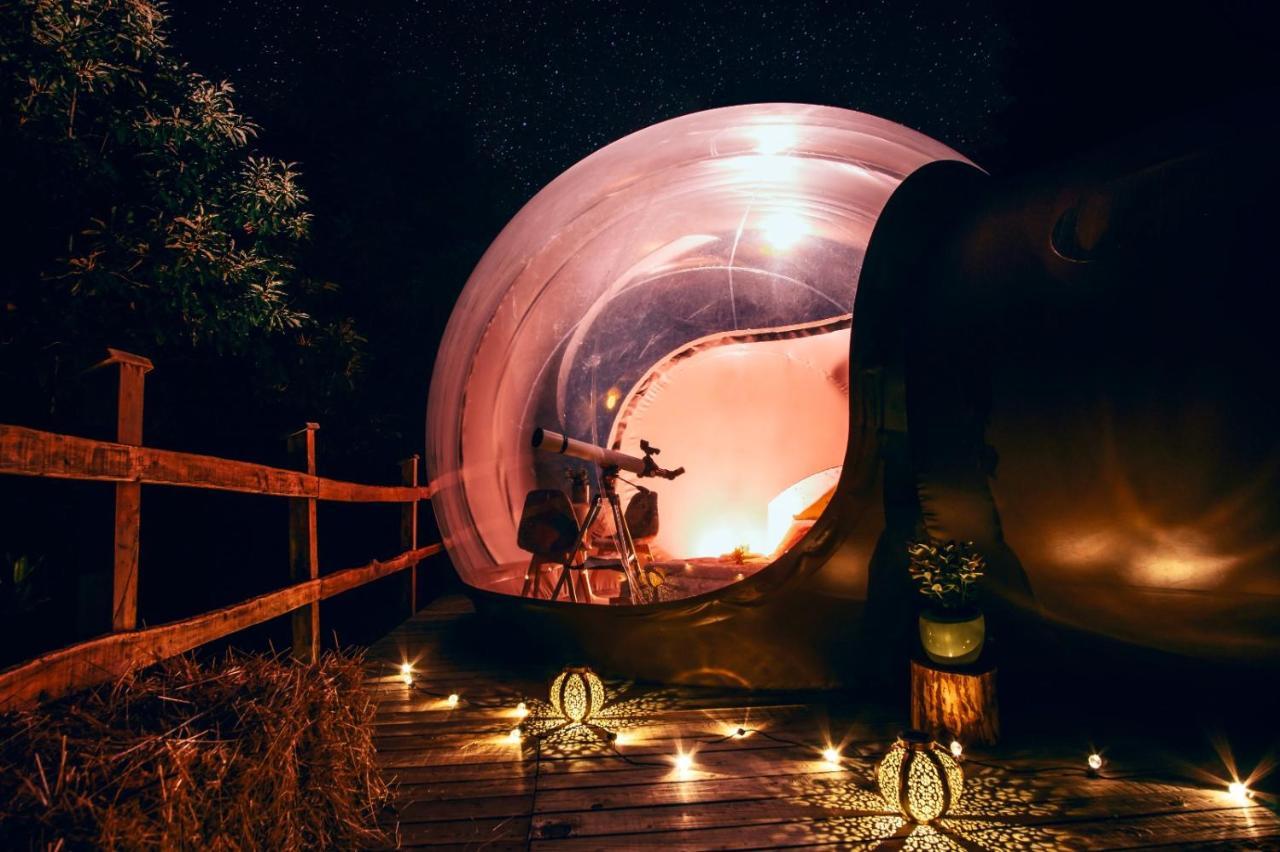 Maso La Marianna Bubble Glamping In Trentino Bed & Breakfast Sant'Orsola Dış mekan fotoğraf